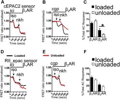 Partial Mechanical Unloading of the Heart Disrupts L-Type Calcium Channel and Beta-Adrenoceptor Signaling Microdomains